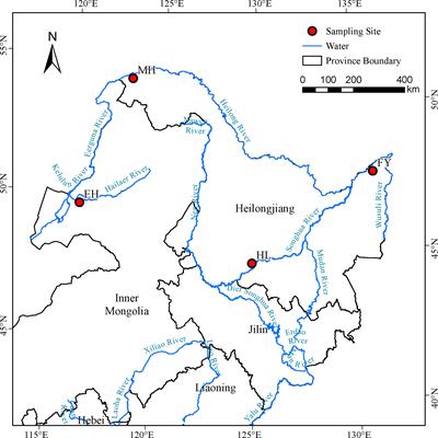 Comparison genetic diversity and population structure of four Pseudaspius leptocephalus populations in Heilongjiang River Basin based on mitochondrial COI gene